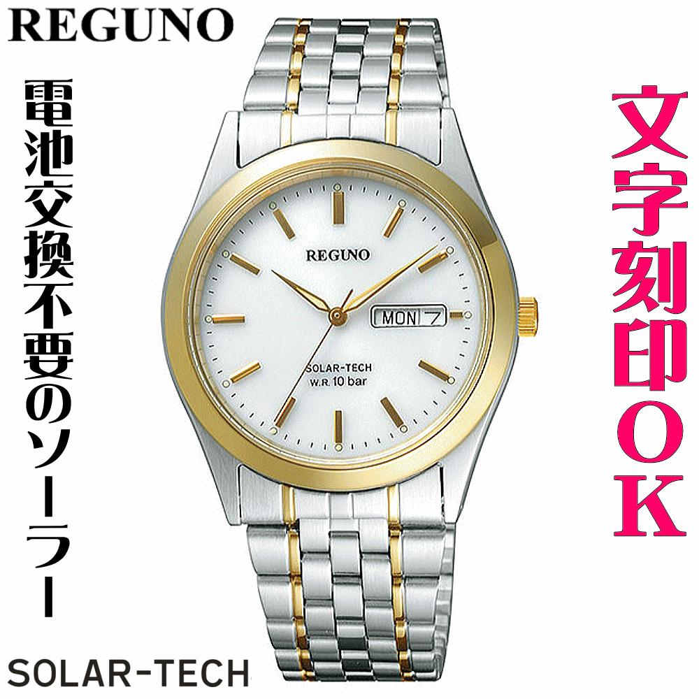 御覧なさる ウォッチ メンズウォッチ 名入れ 文字記号入れ 文字記号目じるし 乾電池取り替えっこ不必要 文字記号が見分かりやすい ソーラーウォッチ REGUNO レグノ ソーラーテック 還暦お祭り 引退お祭り 引退祝する 金婚式 銀婚式 古希 米寿 傘寿 勤続祝する品 喜び事 かしら文字目じるし 目じるし実績1位 さし上げる御覧なさる 祝する品 腕時計-メンズ腕時計