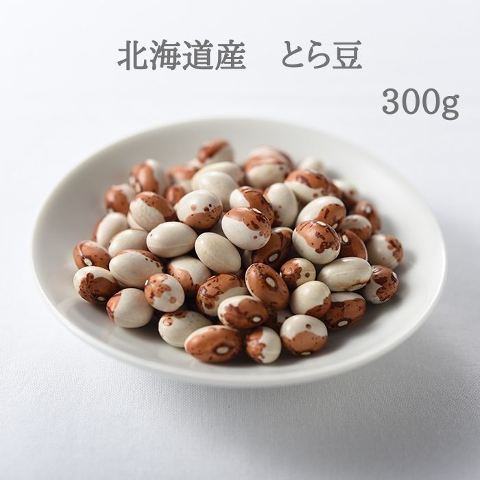 令和7年産 大豆 フクユタカ 正味11kg 愛知県産 令和7年産 新