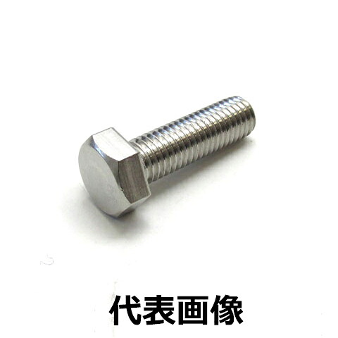輸入品 ステンレス SUS304 六角ボルト 全ネジ　M10×120mm 全ねじ 50本 SUS_BT_M10_120_BOX