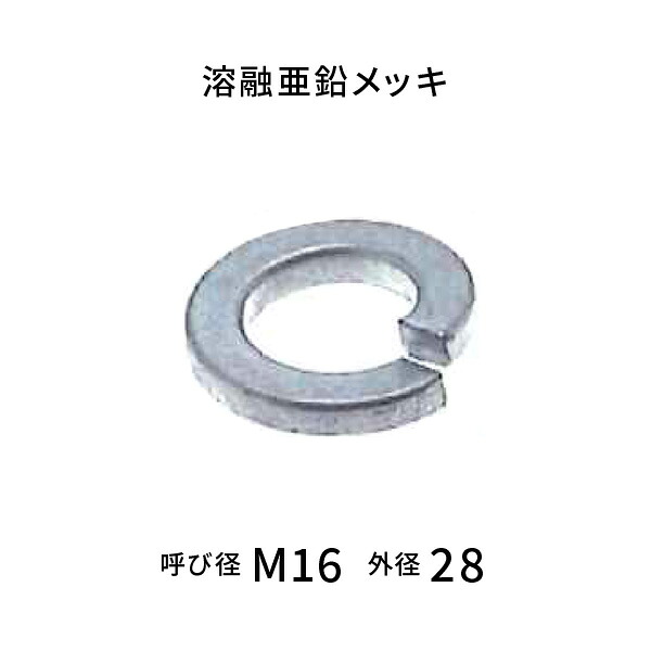 熔けるジンクメッキ 2号 スプリングワッシャー 呼びM16  【250枚入】 ネジ・釘・金属素材-花・ガーデン・DIY