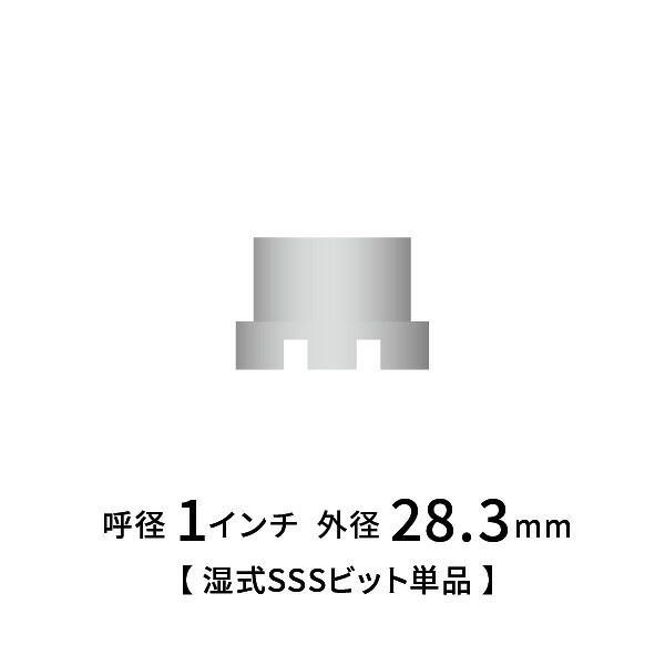 シブヤ 金剛石中核グループ湿式3点式 1in 截断機ビット単品 SSSビット1in 電動ドリル・ドライバードリル-花・ガーデン・DIY