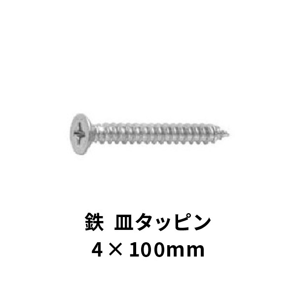 皿頭 タッピンねじ A 鉄 ユニクロメッキ 4×100mm 300本