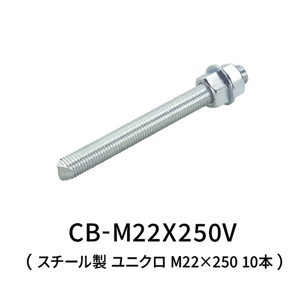 サンコーテクノ ケミカルボルト スチール ユニクロ M22&times;250 10本 CB-M22X250V｜あかばね金物