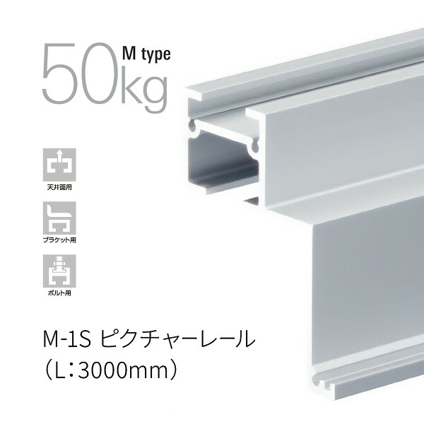 タキヤ M-1Sピクチャーレール 上昇限度面打っ付け用