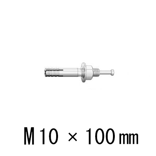 ユニカ ルーティアンカーC-1010D C-Dタイプ ドブメッキ ねじ径 M10 全長 100mm 【50本】 unika