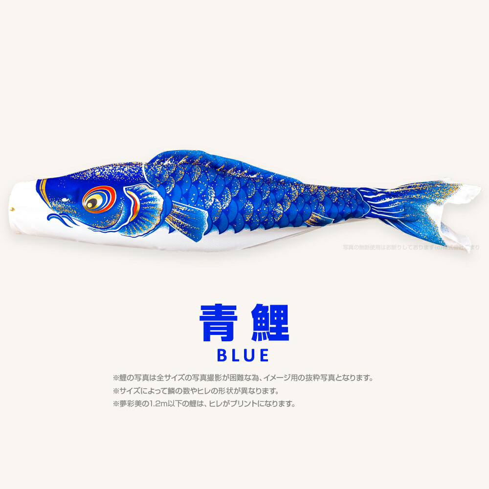 こい幟 単品 鯉のぼり 念願 色取り 奇麗さ ゆめさいび 3m 単品鯉 Arcprimarycare Co Uk