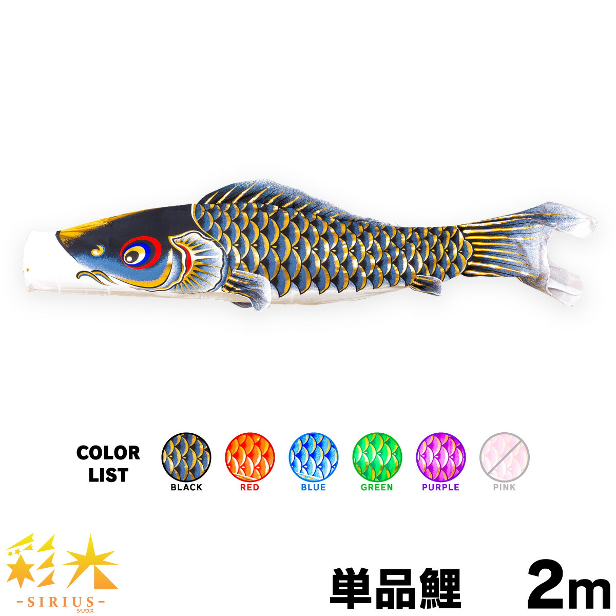 楽天市場】こいのぼり 鯉のぼり 片岡鶴太郎 虹鯉 太郎鯉 豆鯉 単品