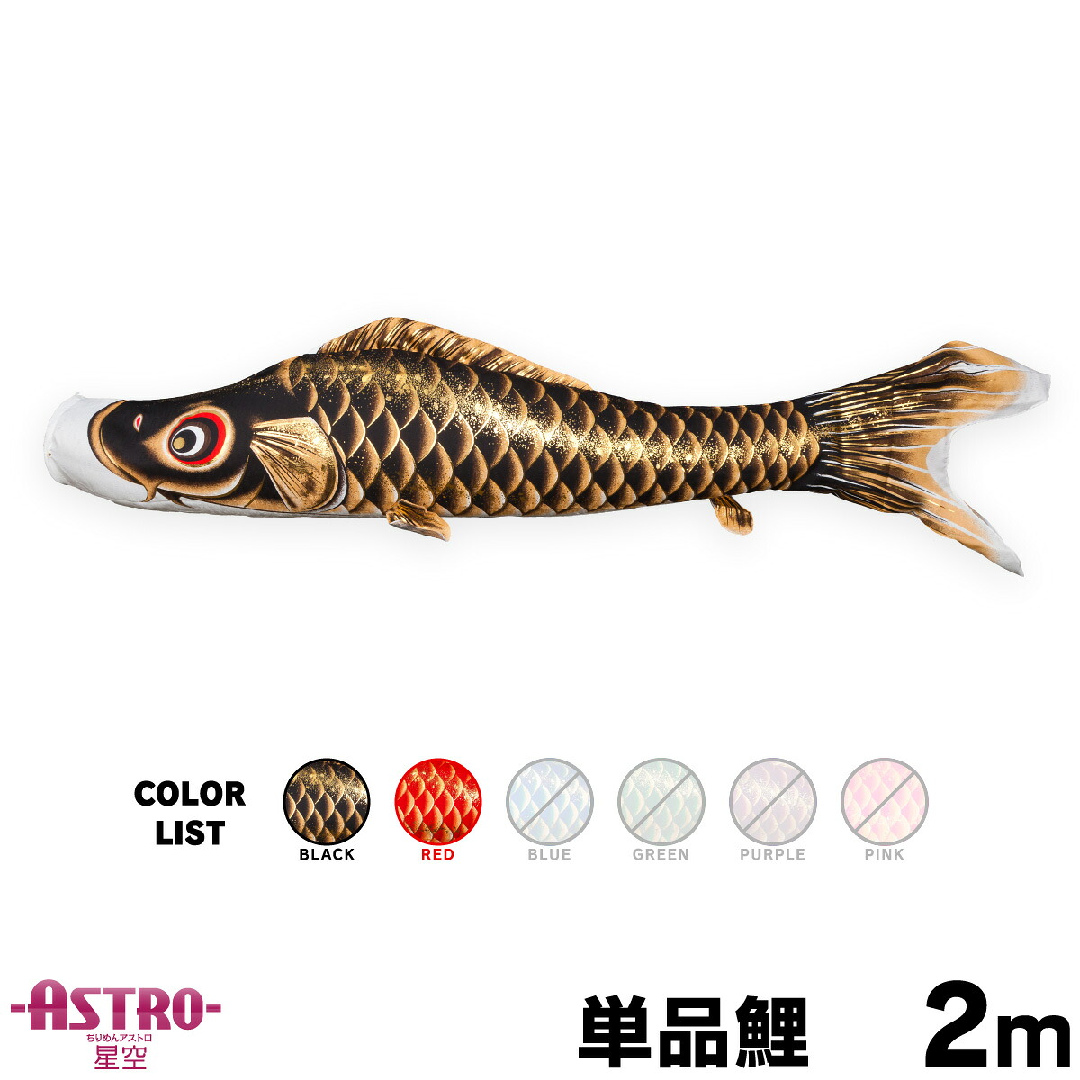 【マラソン先着クーポン&P最大11倍】 こいのぼり 単品 鯉のぼり ASTRO ちりめん星空鯉 2m 単品鯉