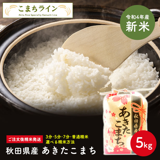 オープニング大放出セール 《定期便5ヶ月》 秋田県産 あきたこまち