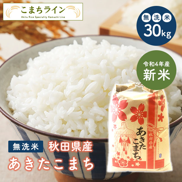 55%OFF!】 我が家で育てたお米です 令和4年産 米 10kg 送料無料 秋田県