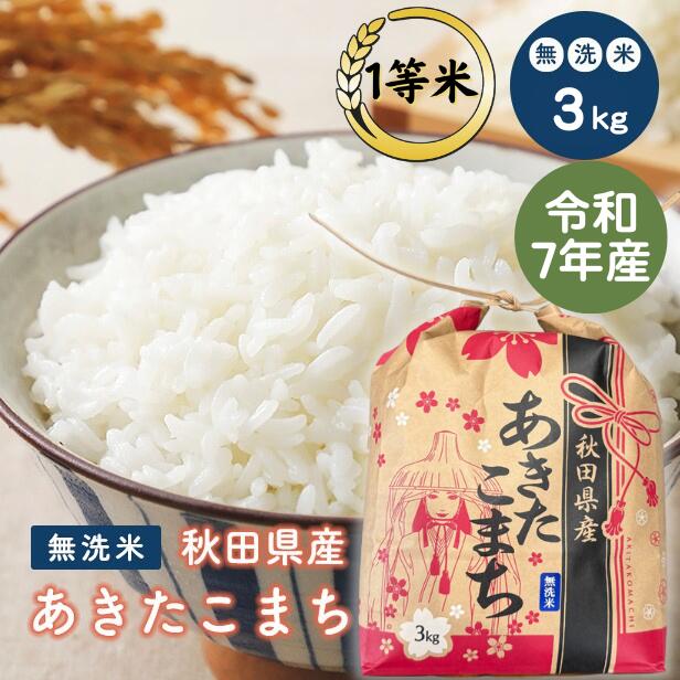 ぷくぷく様 専用】令和6年産 秋田県産あきたこまち