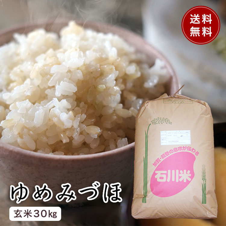 送料無料 一等検査 玄米 新米 令和4年産 京都 丹後 米 コシヒカリ 30kg