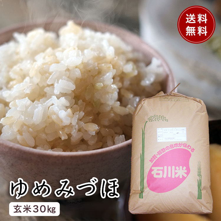 玄米 30kg 京都 丹後 コシヒカリ 送料無料 減農薬米 - 米・雑穀・粉類