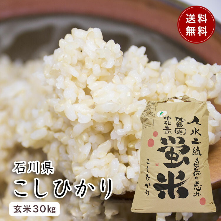 楽天市場】特別栽培米 コシヒカリ 蛍米 玄米10キロ 1等米 石川