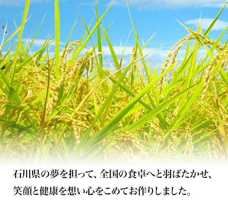 あい様専用 特A地区産 １等米【令和２年産】精米済 お米 30kg（5kg×6