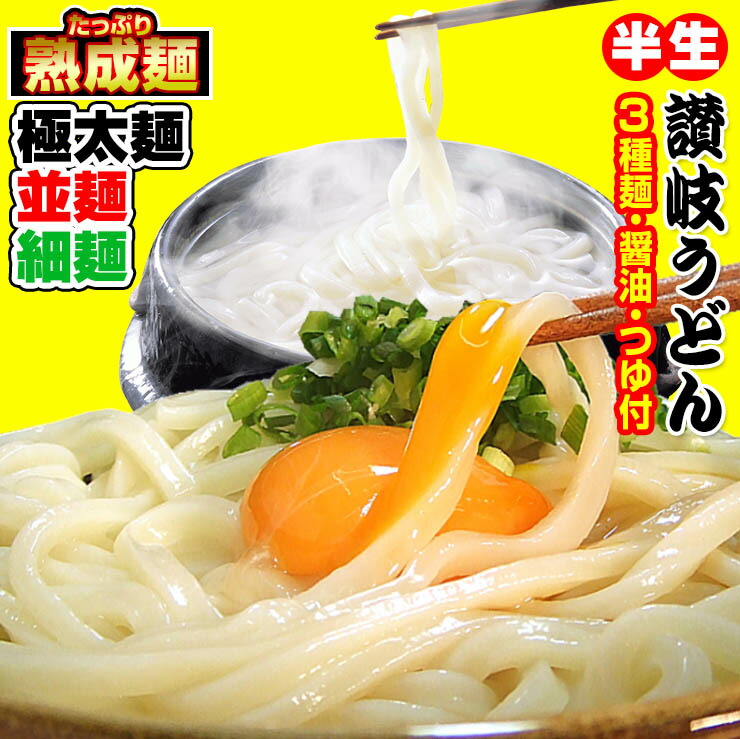 時間熟成 半生 讃岐うどん 3種麺 つゆ付きセット 極太麺 並麺 細麺 750g 送料無料 最安値挑戦 お取り寄せ お試し 新作通販