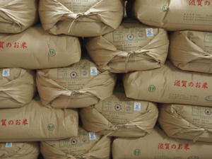 【7年産】滋賀羽二重もち米白米20kg【送料無料】一部送料別途