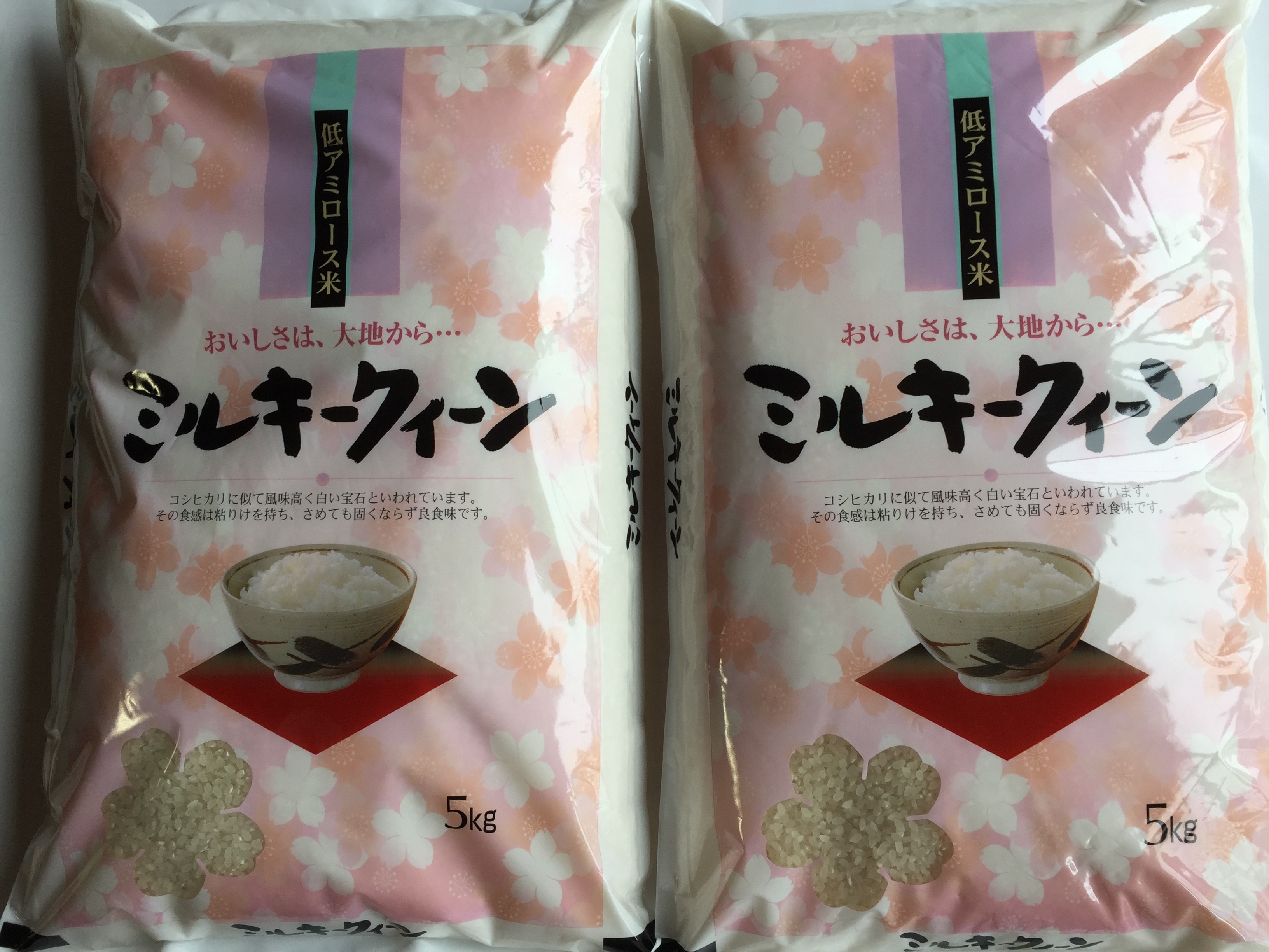 送料無料 【令和6年産 】京都丹波産きぬひかり10kg（5kg
