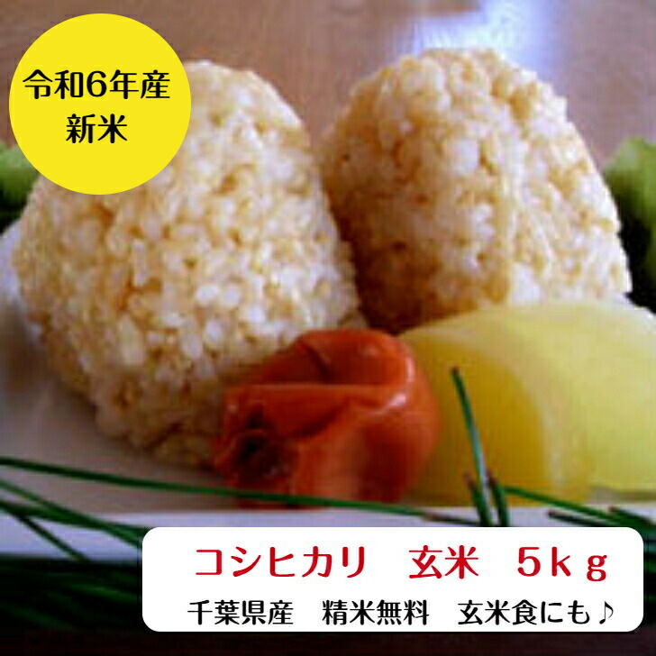 令和6年産<br>千葉県産 コシヒカリ 玄米 5ｋｇ<br>【本州　四国　送料無料】精米無料<br>【コンビニ受取対応商品】