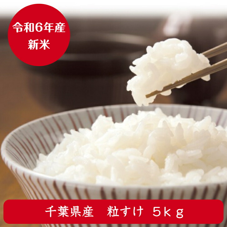 楽天市場】令和6年産 無洗米 ふさこがね 5kgおいしい♪手間 楽天市場】令和6年産 無洗米 ふさこがね 5kgおいしい♪手間