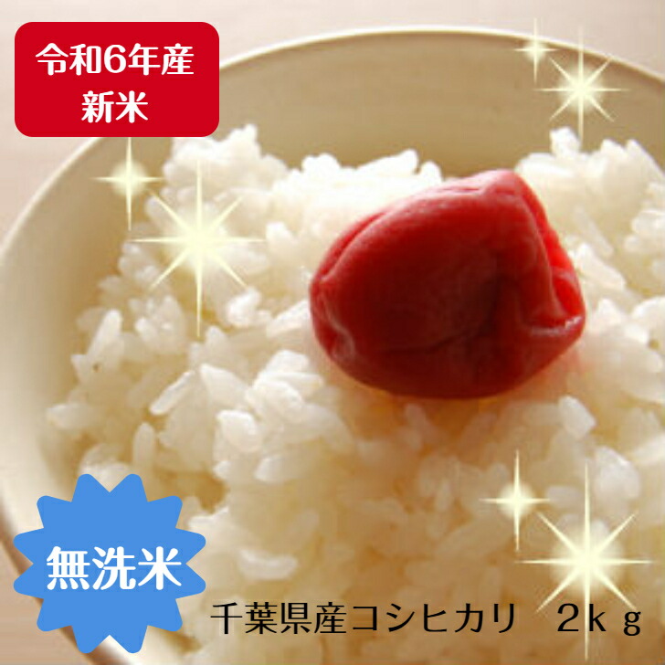 令和6年 新米あきたこまち10kg  千葉県産減農薬 令和6年 新米あきたこまち10kg 千葉県産減農薬