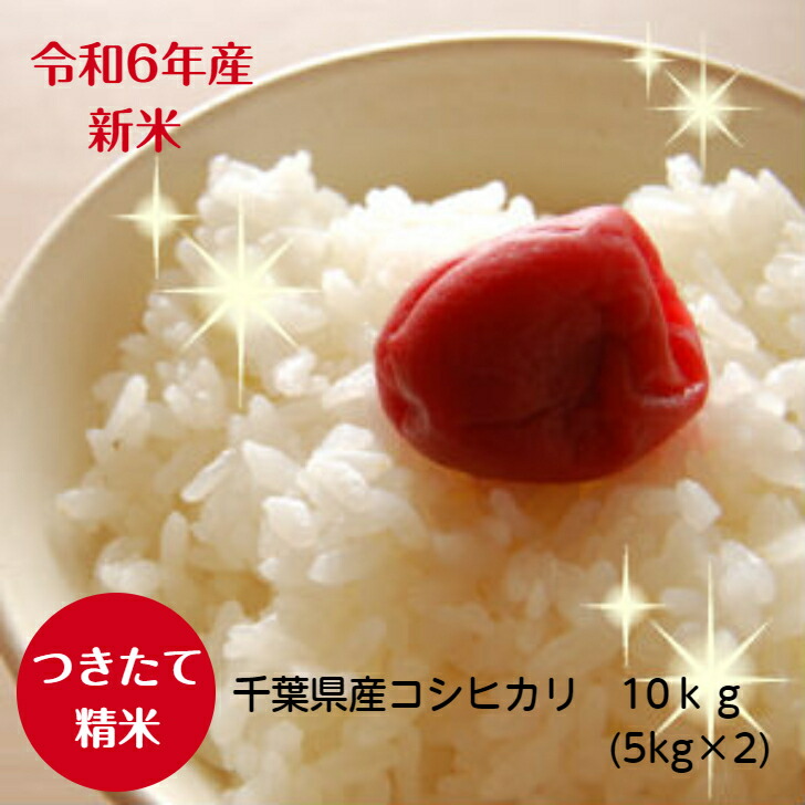 令和6年産千葉県産<br>菜の花 こしひかり<br>つきたて白米10ｋｇ（5ｋｇ×2）<br>本州・四国※送料無料※ 精米<br>※九州・北海道発送不可※