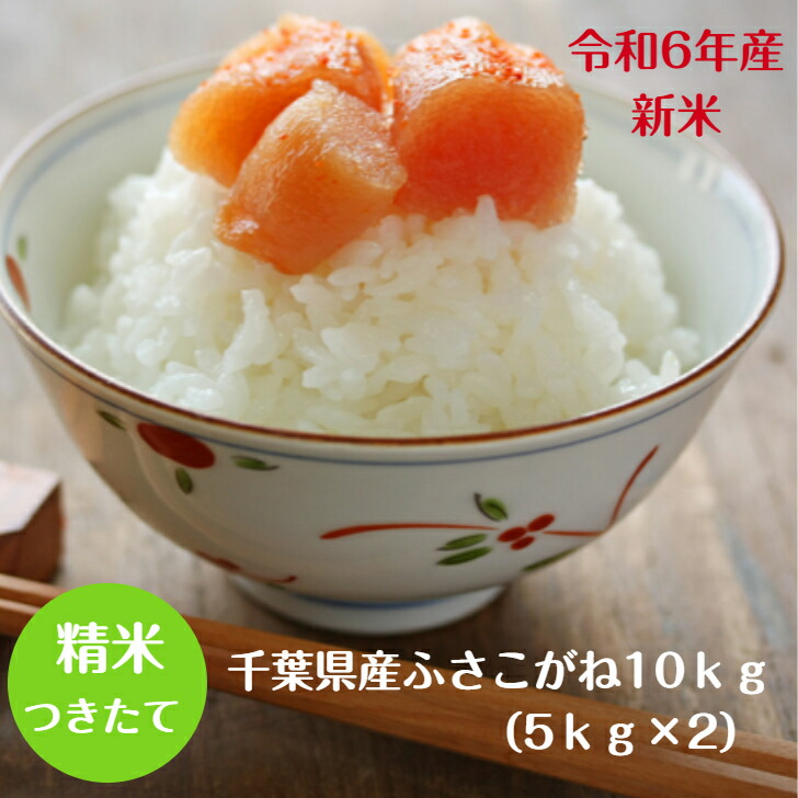 米 白米 10kg 令和6年 新米 千葉県産 ふさこがね お米 精米 送料無料 ※地域によりまして別途送料が発生。