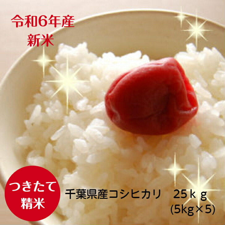 令和6年産 千葉県産<br>菜の花 こしひかり<br>つきたて 白米 25ｋｇ（5ｋｇ×5）<br>※送料無料※うれしい小分け 精米<br>※沖縄・九州・北海道発送できません※