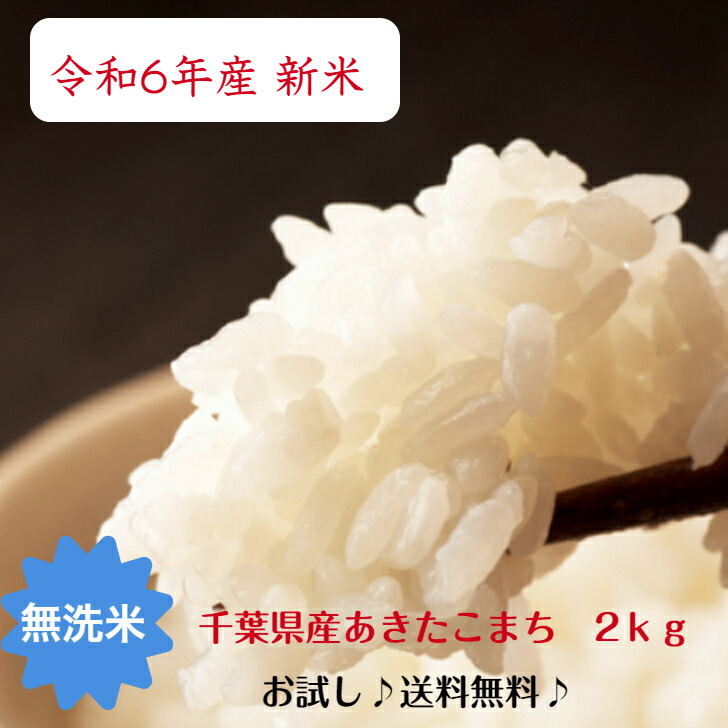 千葉県内 減農薬 あきたこまち10kg精米 令和6年度産米】減農薬減化学肥料米 「大曲仙北産あきたこまち