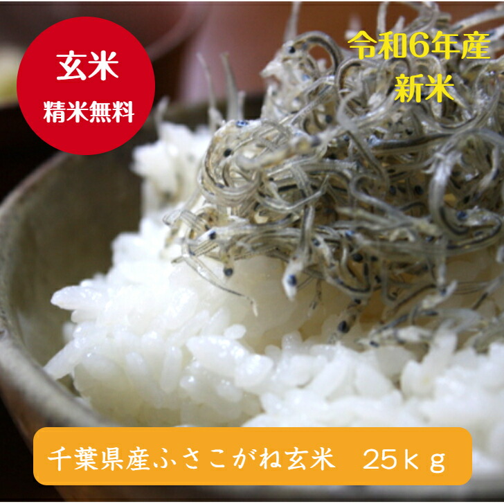 令和6年産 千葉県産<br>ふさこがね 玄米25ｋｇ<br>(玄米：10ｋｇ×2袋、5ｋｇ×1袋)<br>♪精米無料♪小分け無料♪<br>【本州・四国　送料無料】<br>※沖縄・九州・北海道発送できません※