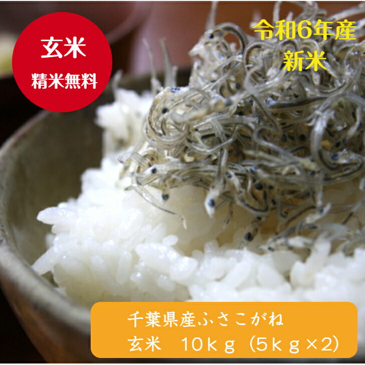 令和6年産　<br>千葉県産 ふさこがね <br>玄米１０ｋｇ（5ｋｇ×2）<br>♪精米無料♪<br>【本州・四国　送料無料】<br>※九州・北海道発送不可※