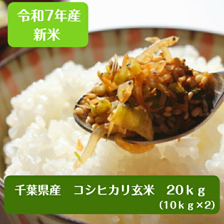 令和7年産 千葉県産 コシヒカリ玄米20kg(10kg×2袋)送料無料 精米無料 小分け無料※北海道・九州発送不可※|こめ庵