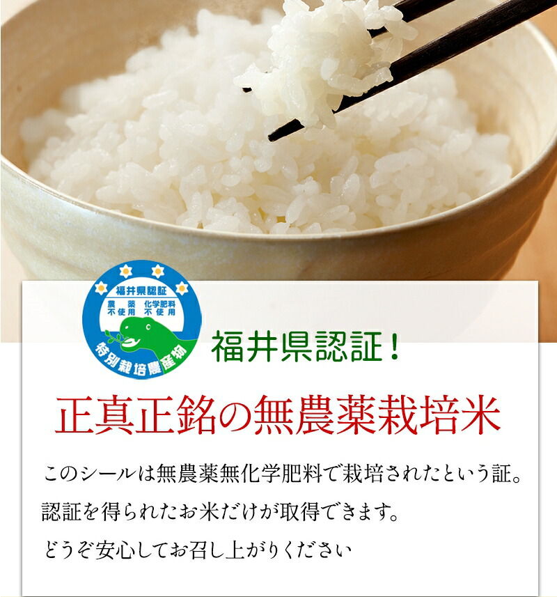 みーこ様専用 無農薬コシヒカリ玄米15kg、5分づき5kg 令和3年 徳島県産