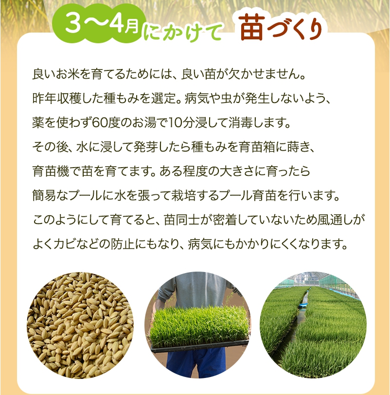 うみ様専用 無農薬コシヒカリ5分づき10kg、玄米10kg 令和4年 徳島県産