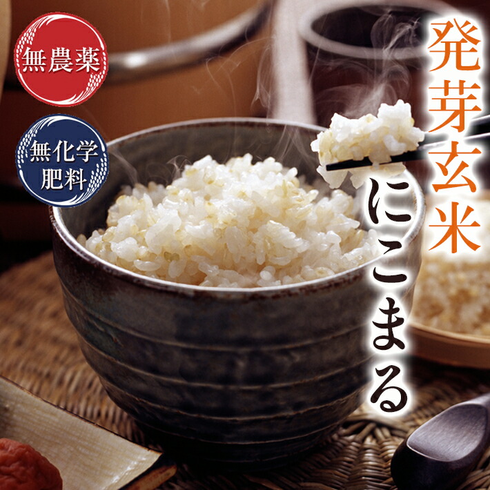発芽玄米 無農薬 にこまる 「特選」 5kg 大きな粒でふっくらもちもち 無農薬・無化学肥料栽培 令和7年 福井県産新米 送料無料 食物繊維・ビタミンB群・GABA・ミネラルが豊富 アブシジン酸は未検出 真空パック 米・食味鑑定士認定米