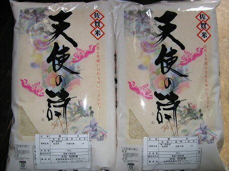 【令和7年産】佐賀県産　天使の詩　１０kg（５ｋｇ×２） 　【九州産】【佐賀米】】【05P12Oct14】【05P30May15】 7,196円