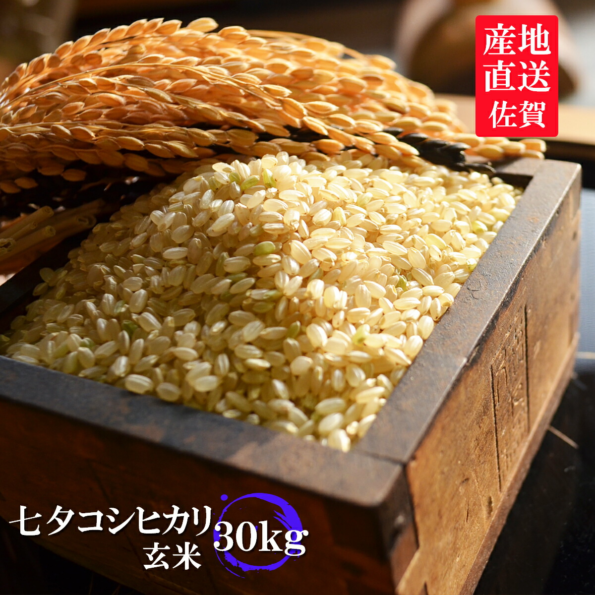 もち玄米■ヒメノモチ【10㎏】一等米☆農家直送 imgrc0078238404.jpg