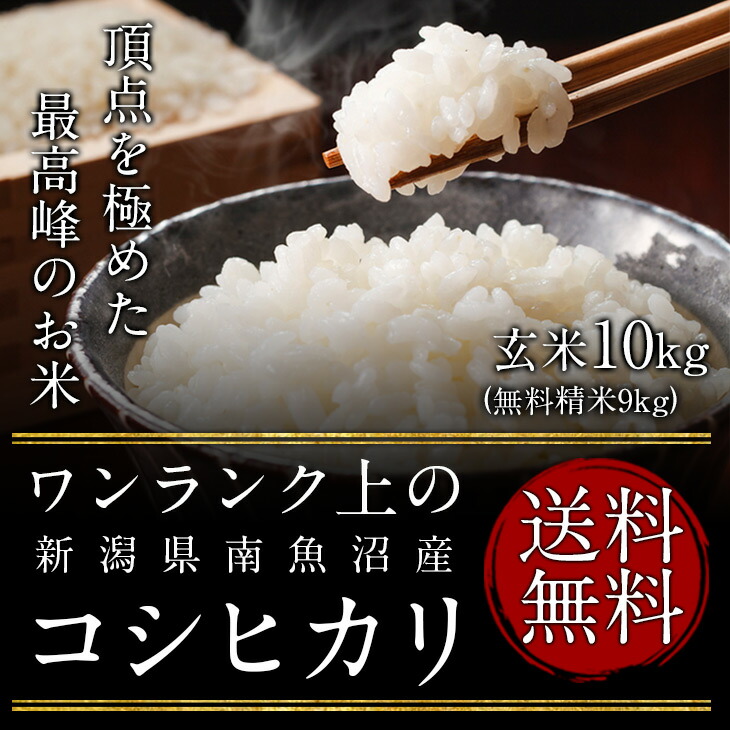 令和6年度産　新潟県南魚沼産コシヒカリ（JA魚沼みなみ）(特別栽培米） 玄米10kg（精米無料）（1等米）(送料無料　但し北海道　中国　九州　四国　沖縄を除く）