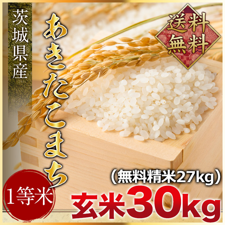 令和六年度 未精米 30Kg 送料込 令和6年産 福島県 中通産 コシヒカリ 玄米 30kg JGAP お米【爆買