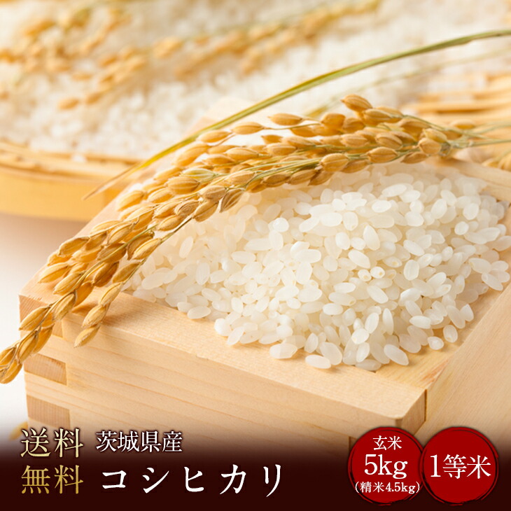豪華ラッピング無料 新米 玄米コシヒカリ 24キロ 令和3年 お米 白米 精米 茨城県産 - 米 - www.smithsfalls.ca 豪華ラッピング無料 新米 玄米コシヒカリ 24キロ 令和3年 お米 白米 精米 茨城県産 - 米 - www.smithsfalls.ca