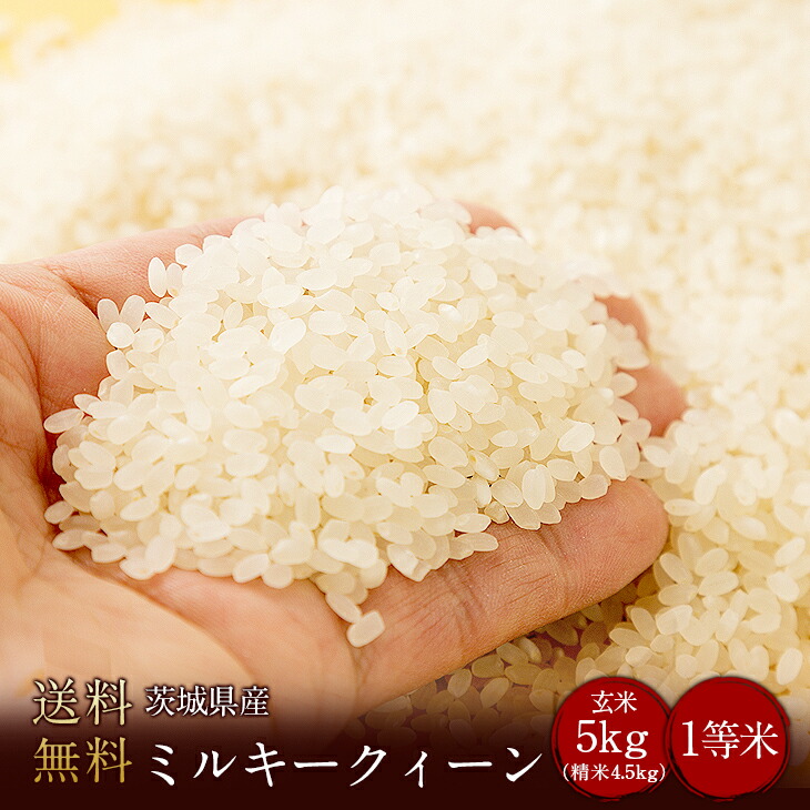 令和6年度産　送料無料　茨城県産ミルキークイーン 玄米5kg（精米無料）（1等米）(送料無料　但し北海道　中国　九州　四国　沖縄を除く）