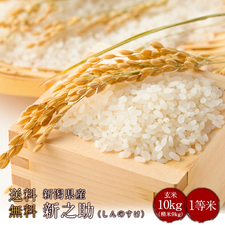 令和6年度産　新潟県産新之助（しんのすけ） 玄米10kg（精米無料）（1等米）(送料無料　但し北海道　中国　九州　四国　沖縄を除く）