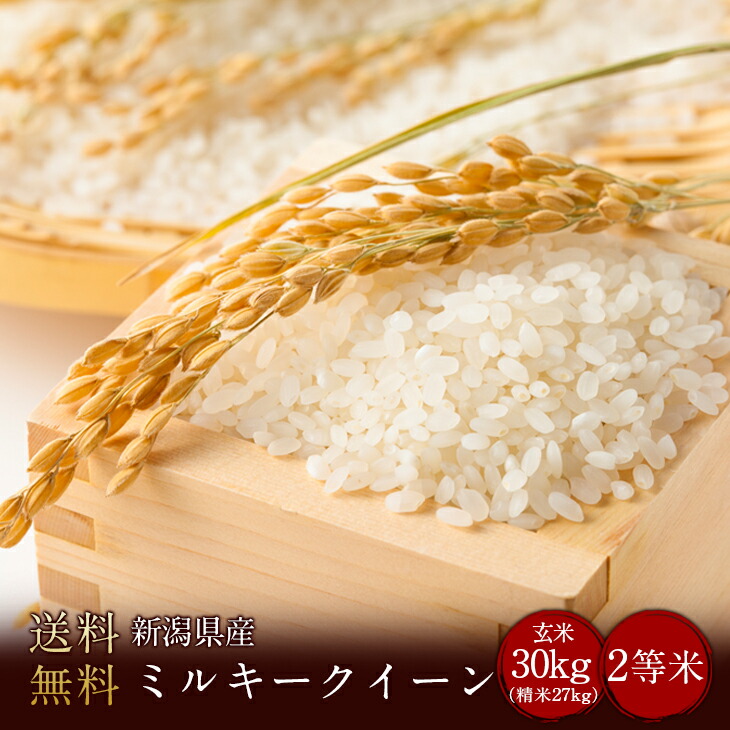 楽天市場】令和3年度産 新潟県産こしいぶき1等米 玄米30kg（精米無料）（1等米）(送料無料 但し北海道 中国 九州 四国 沖縄 離島を除く） : 米問屋  金子商店 楽天市場店