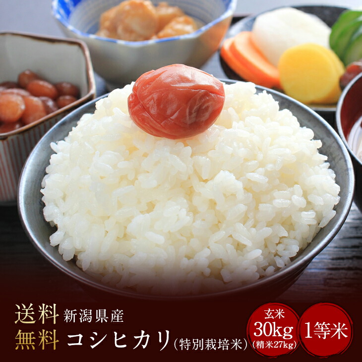 令和6年度産　新潟県産コシヒカリ1等米 玄米30kg（精米無料）（1等米）(送料無料　但し北海道　中国　九州　四国　沖縄　離島を除く）