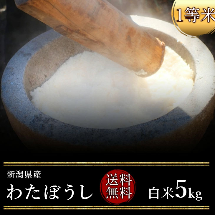 もち米 令和6年度産　新潟県産わたぼうし 白米5kg（白米）（もち米）（1等米）(送料無料　但し北海道　中国　九州　四国　沖縄　離島を除く）