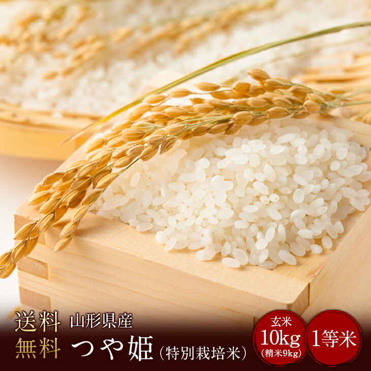 令和6年山形県産つや姫1等米（特別栽培米） 玄米10kg（精米無料）（1等米）(送料無料　但し北海道　中国　九州　四国　沖縄を除く）