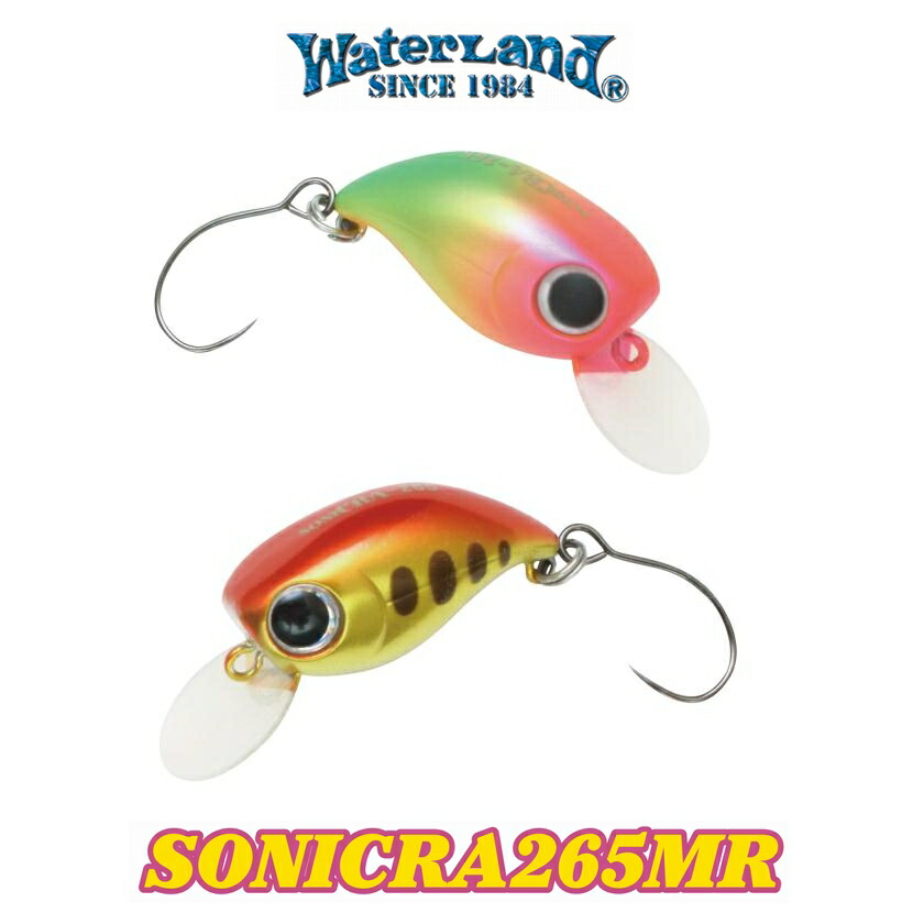 ウォーターソニック 51l19D3c6iL._UF350,350_QL50_.jpg