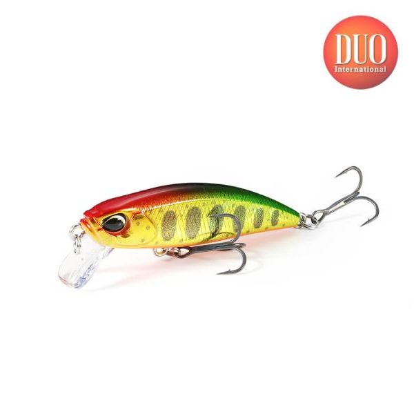 楽天市場】【メール便可】DUO(デュオ) レアリス ロザンテ 63SP : 米源