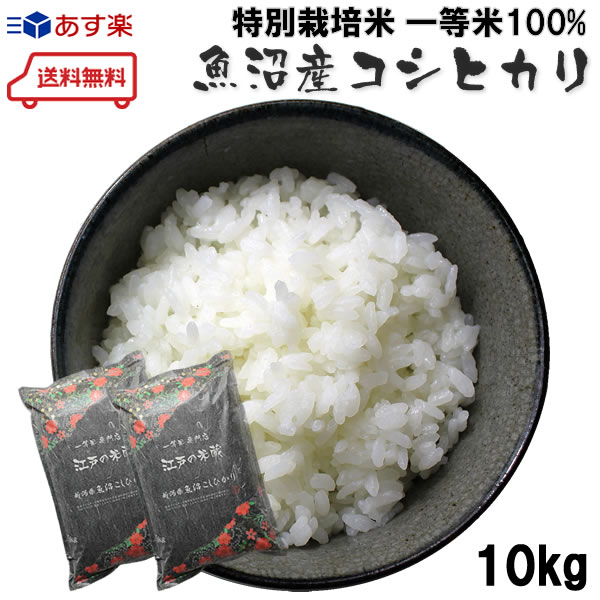 新米予約 令和1年産 新米 お米 10kg 送料無料 ≪減農薬 特別栽培米≫ 日本一美味しいお米 新米が食べたいならこの新米 新潟県 魚沼産 こしひかり 一等米100% 5kg&times;2個(玄米or白米 お米 令和1年度産 10kg)冷めても美味しい米