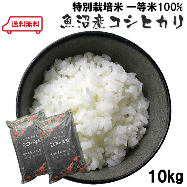 【定期購入・送料無料】新潟県魚沼産コシヒカリ5kg×2個【初回特典 大幅値引き】：一等米専門店 江戸の米蔵